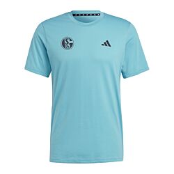 adidas FC Schalke 04 t-shirt turquoise 