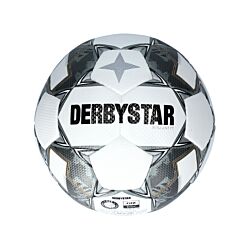 Derbystar Brillant TT v24 trainingsbal wit F190 