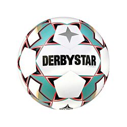 Derbystar Stratos TT v23 Trainingsball Weiss F167