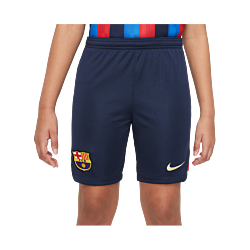 Nike FC Barcelona Short Home 2022/2023 Kids Blau F451
