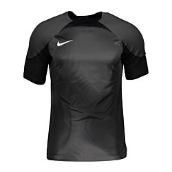 Nike Gardien IV keepershirt grijs F060