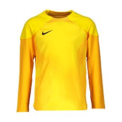 Nike Gardien IV goalkeeper jersey long sleeve kids F719